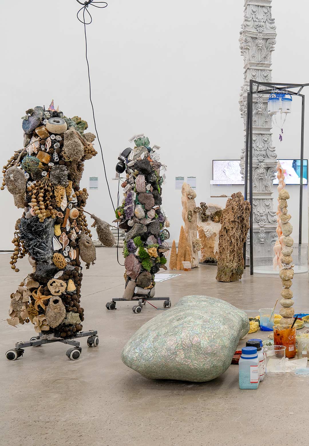 ‘Eco-Lab’ explores interconnection, transformation and consciousness