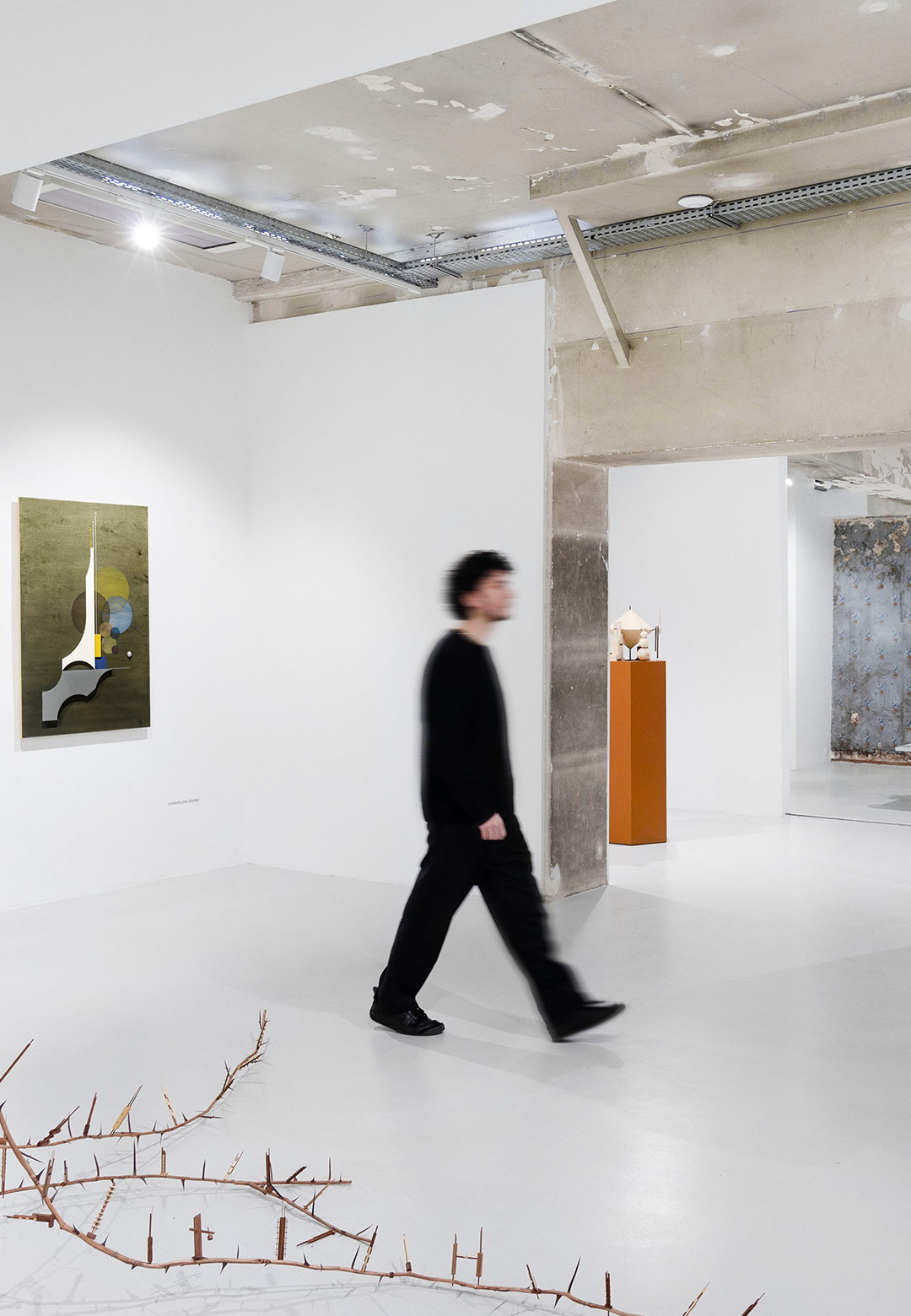 Carlos Garaicoa highlights tensions between culture and nature with 'La Sección áurea'