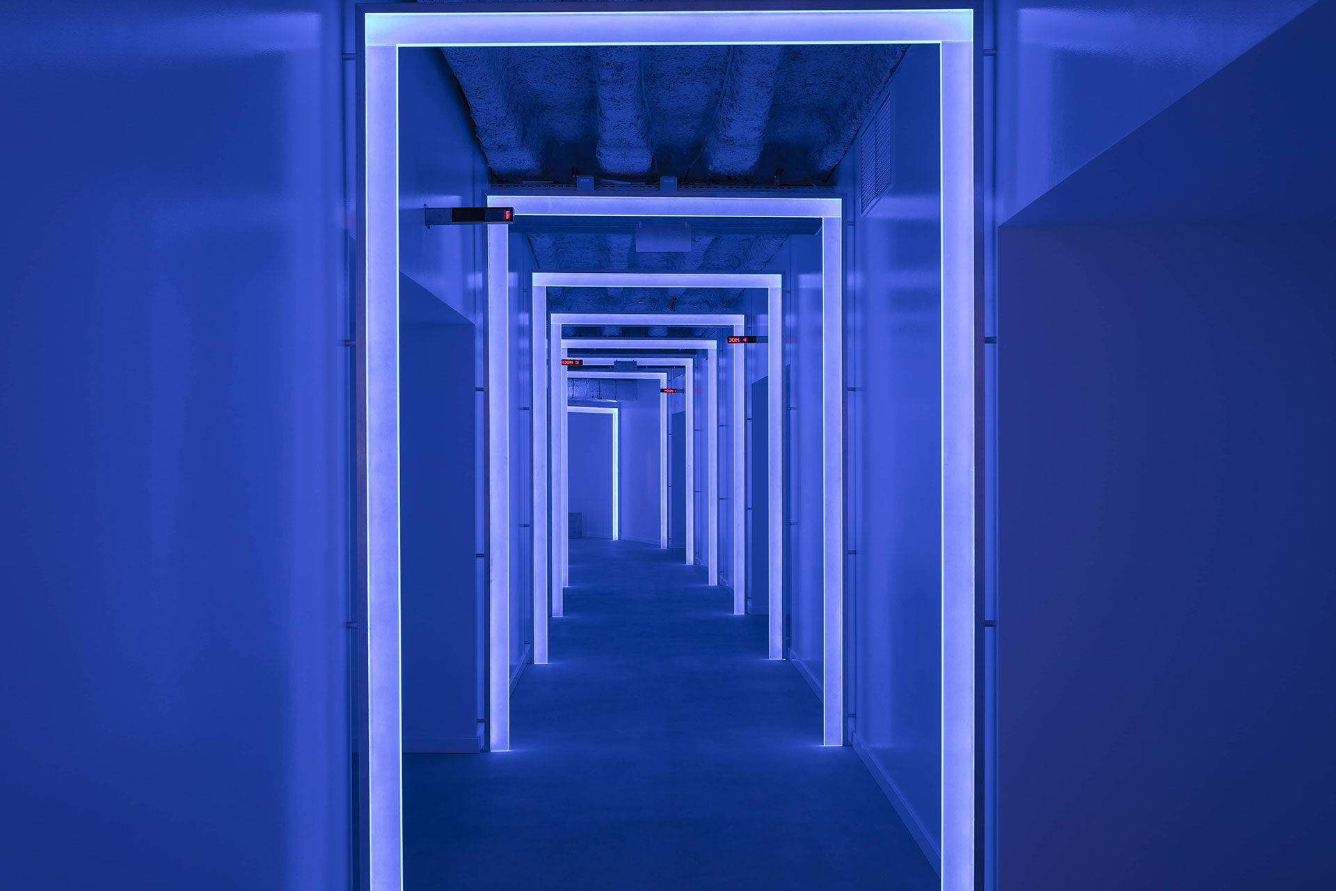 The colourful interiors of the Sparks office designed by Cobra Studios