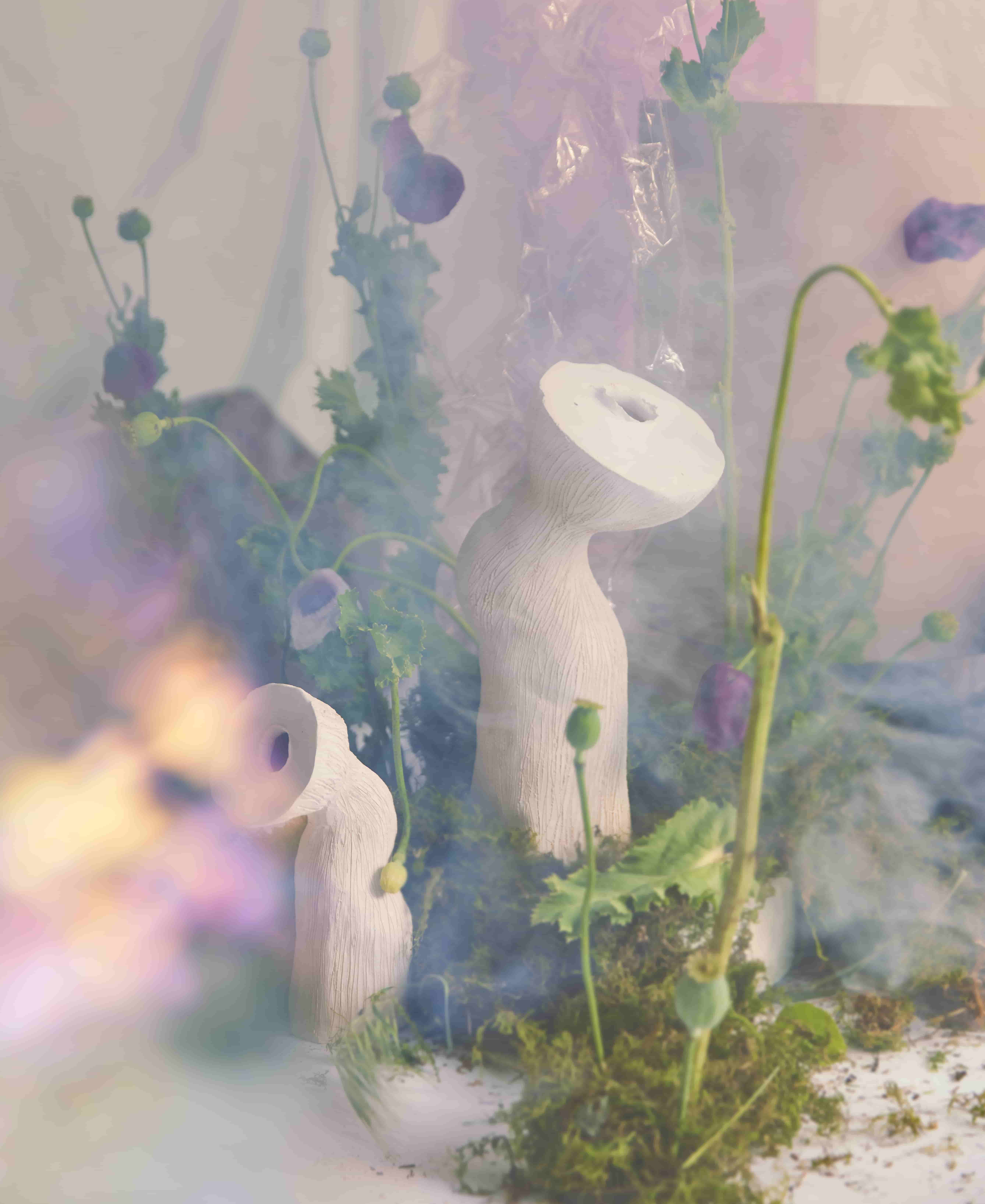 jan-ernst-presents-biomimetic-sculptures-at-galerie-revel